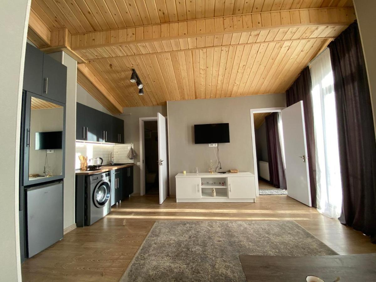 Winter House Gudauri公寓 外观 照片