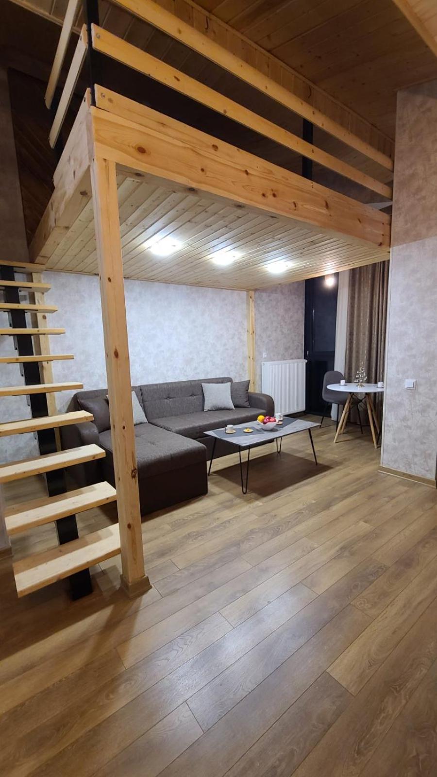Winter House Gudauri公寓 外观 照片