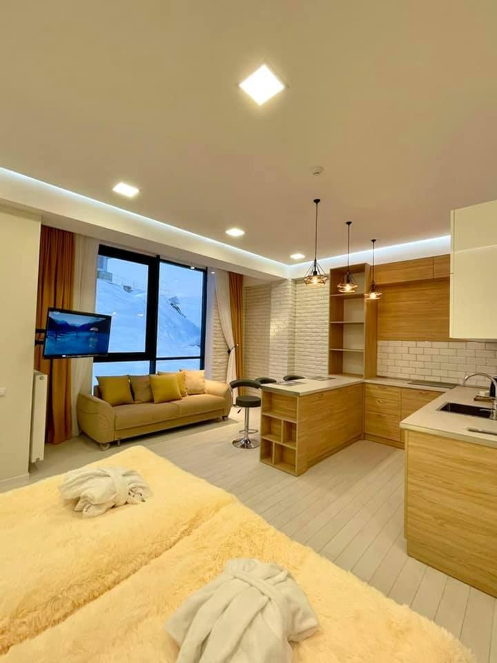 Winter House Gudauri公寓 外观 照片