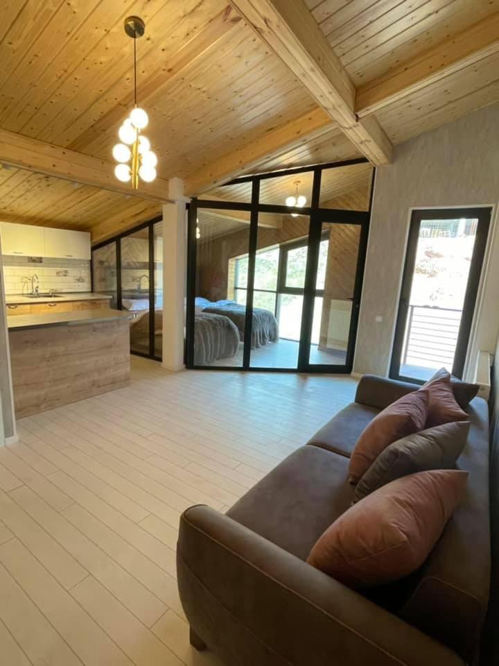 Winter House Gudauri公寓 外观 照片