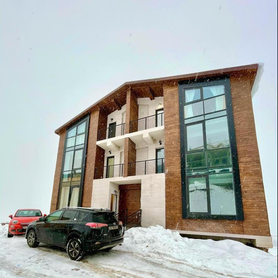 Winter House Gudauri公寓 外观 照片